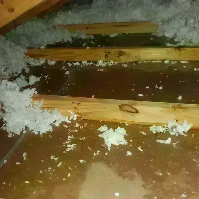 Attic Water Damage in Delaware, OH