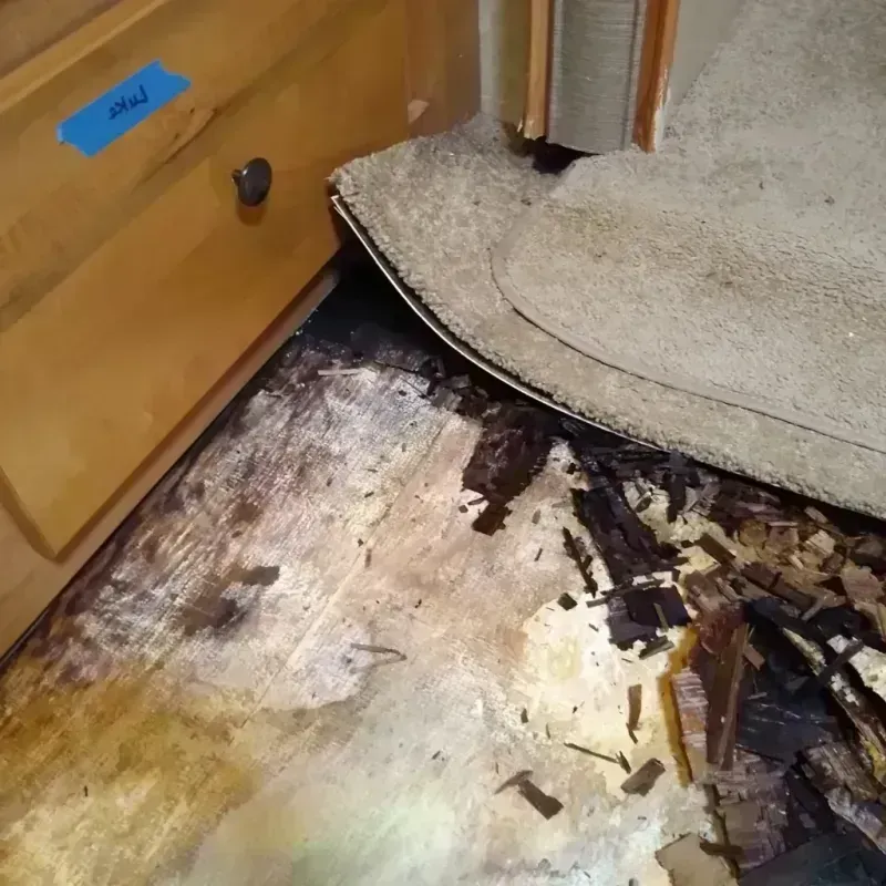 Wood Floor Water Damage in Delaware, OH